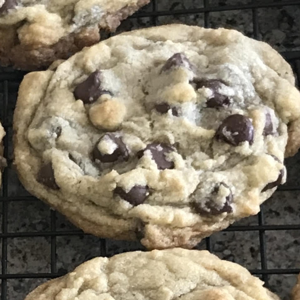 Homemade chocolate chip cookie